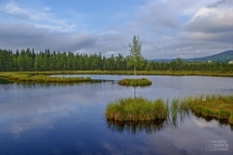 Šumava